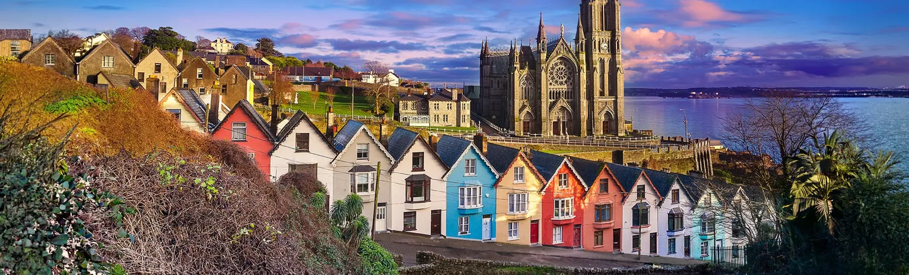 Cork